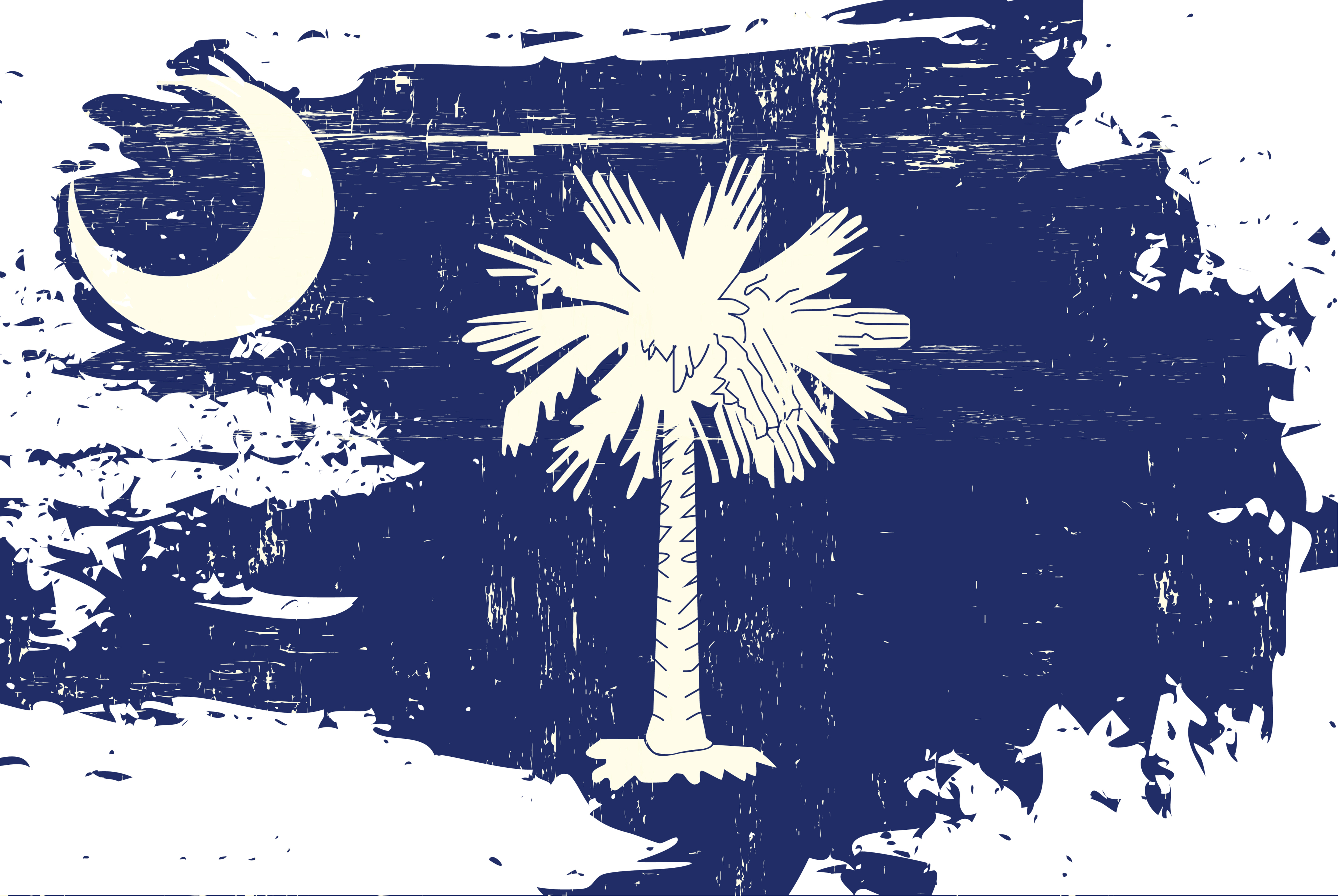 SC palmetto state