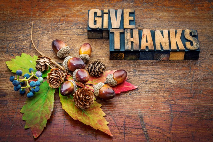 give thanks smaller